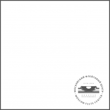 Фирменная ткань для внутренней протирки флейты MFC 30X30см.